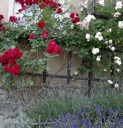 Lägenhet U Mushera *