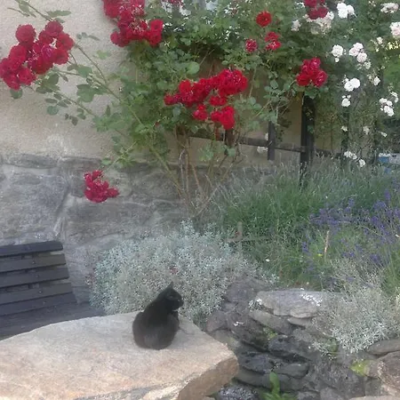 Apartmán U Mushera