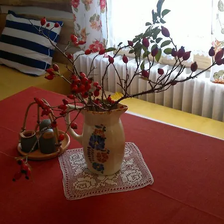 アパート U Mushera Vrchlabí