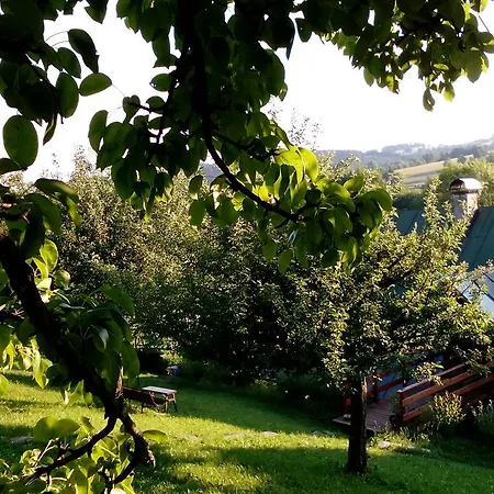 Lägenhet U Mushera *